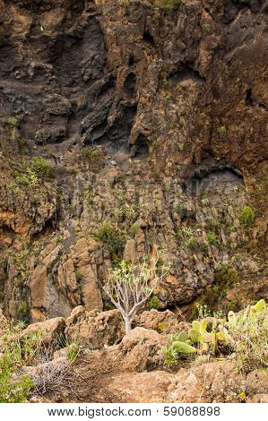 Tenerife Gorge