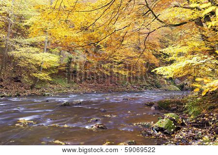 Metuje river in autumn, Czech Republic