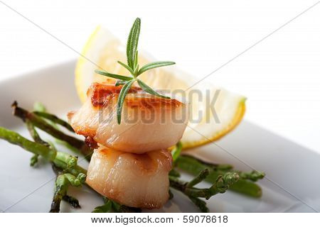 scallops