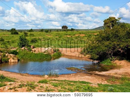 Pond of clear water in bush on savanna in Africa. Landscape of Tsavo West, Kenya.