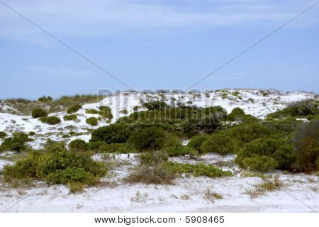 Dune di sabbia bianca Ii