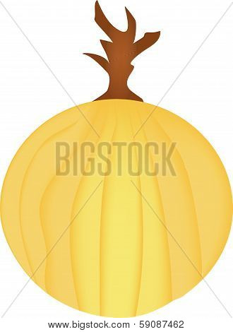 Fresh Onion