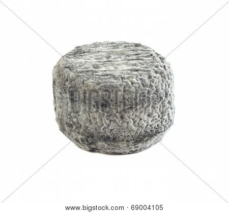 Goat Milk Cheese