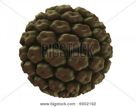 HPV-virus