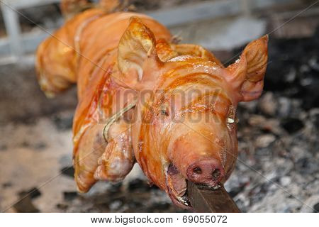 Pig Spit