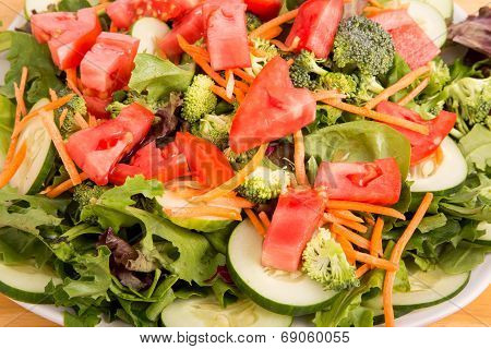 Fresh Salad Closeup