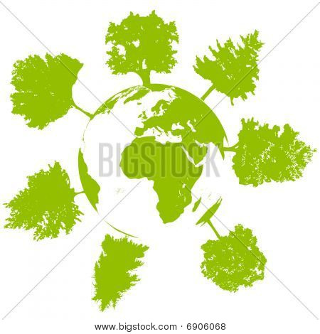 世界の木の生態