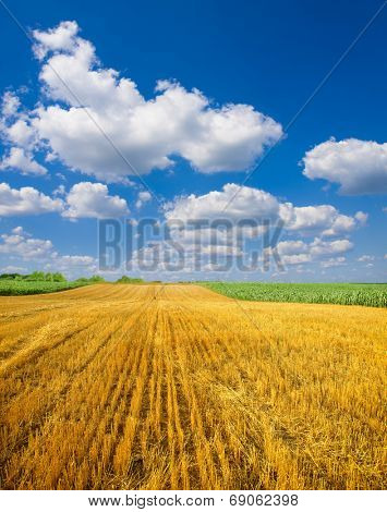field after harvest