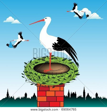 Stork nest