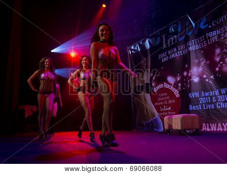 Avn Adult Entertainment Expo