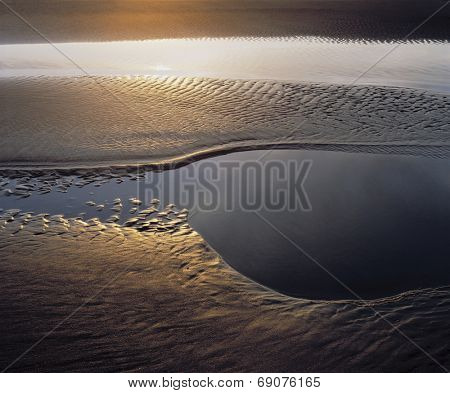 Sunlight on the Tidal Flats