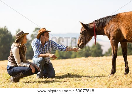 cowboy and cowgirl playing with foal in the ranch