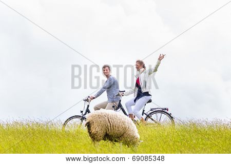 Couple having bicycle tour with bike at levee with sheep