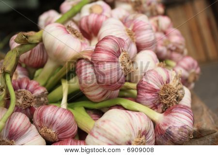 Bouquet d'ail frais