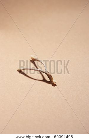 Wishbone isolated over brown background