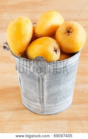 Loquat Fruit In Bucket
