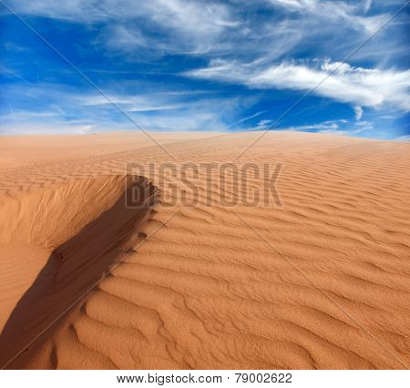 desert landscape