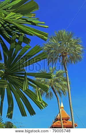 traditional Thai roofs amid palm trees and blue sky