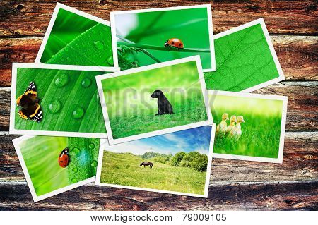 Plie Of Green Nature Pictures