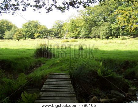 frihed bridge