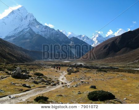Alpine vally i nepal