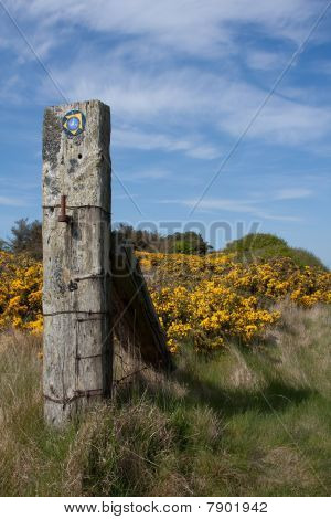 Coastal Path