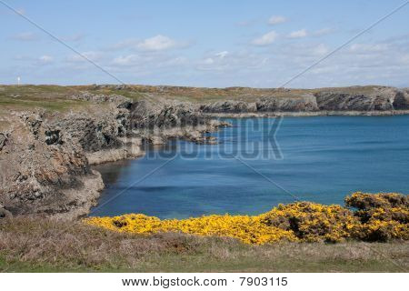 Costa di Anglesey
