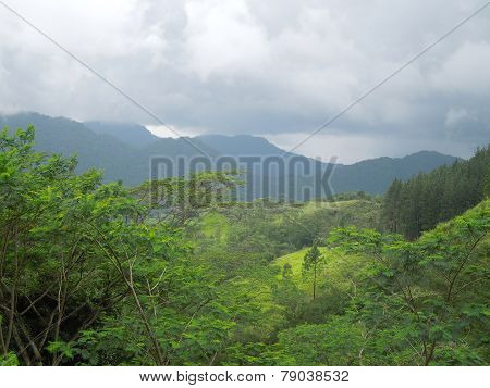 Mountain Scenery In Sri Lanka