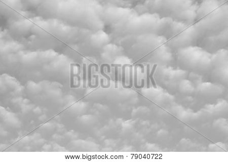Altocumulus Clouds
