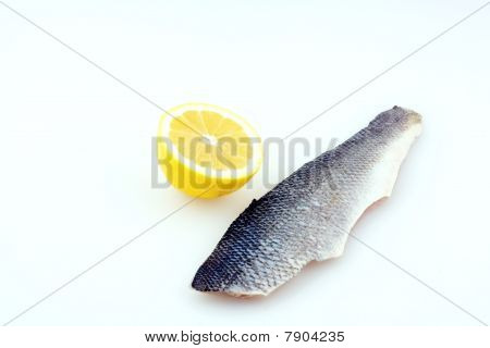 Bronzini