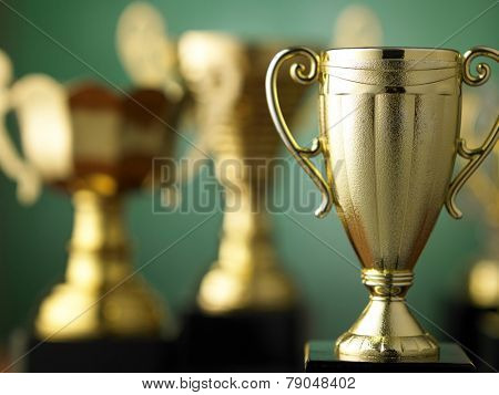 trophy for champion