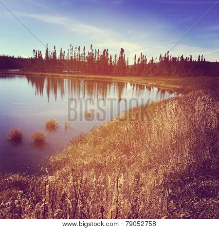 Instagram Of Peaceful Lake Surrounded By Grass And Trees