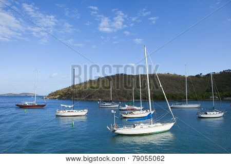 sailboats moored in Cruz Bay, US Virgin Islands