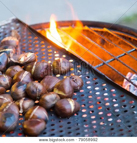 Grilling chestnuts.