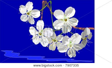 Blommor av Apple.eps
