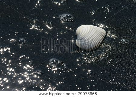 space shell