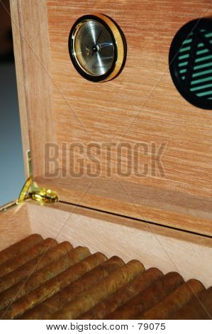 시가 Humidor #1