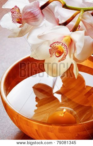 Branch Of White Orchid In Bowl
