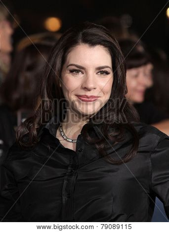 LOS ANGELES - NOV 11:  Stephenie Meyer arrives to the 