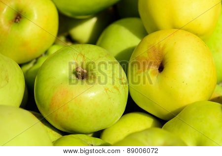 Gravenstein