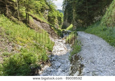 Mountain Ravine
