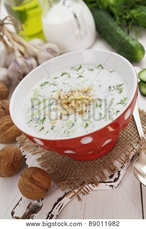 Tarator, Bulgarian Sour Milk Soup