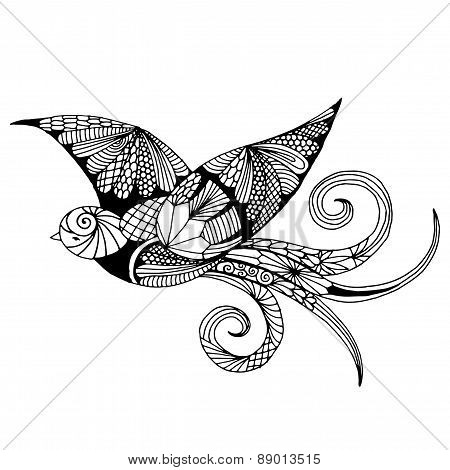 Bird illustration