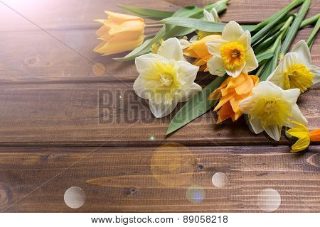 Background With Fresh Tulips And Narcissus