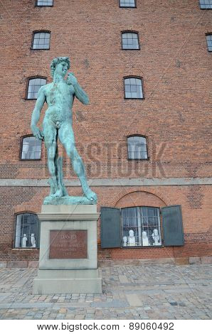 Copenhagen Michelangelo's David Statue