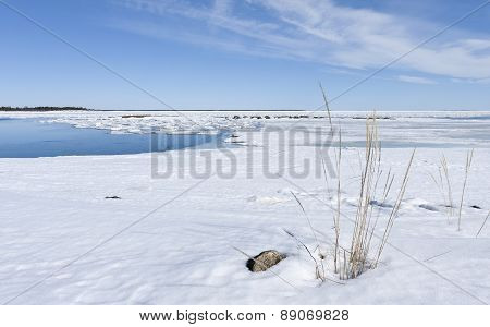 Shore of the Baltic Sea in March.