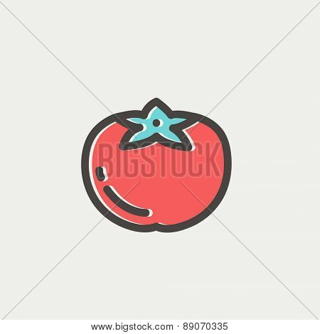 Tomato icon thin line for web and mobile, modern minimalistic flat design. Vector icon with dark grey outline and offset colour on light grey background.