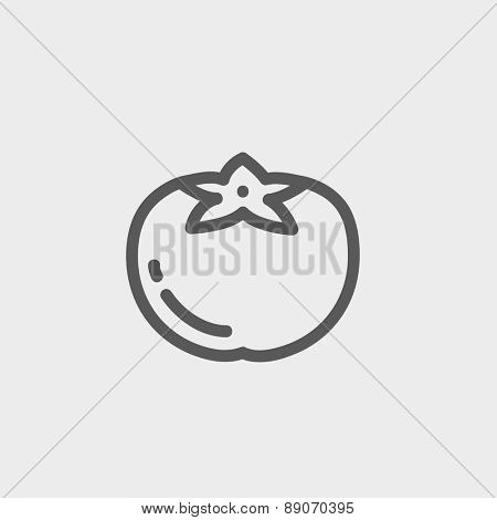 Tomato icon thin line for web and mobile, modern minimalistic flat design. Vector dark grey icon on light grey background.