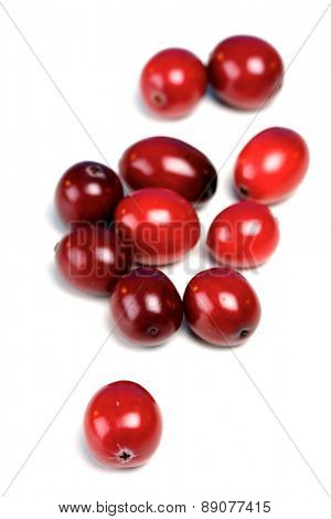 Studio shot of cranberries on white background