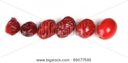 Cranberries on white background - studio shot